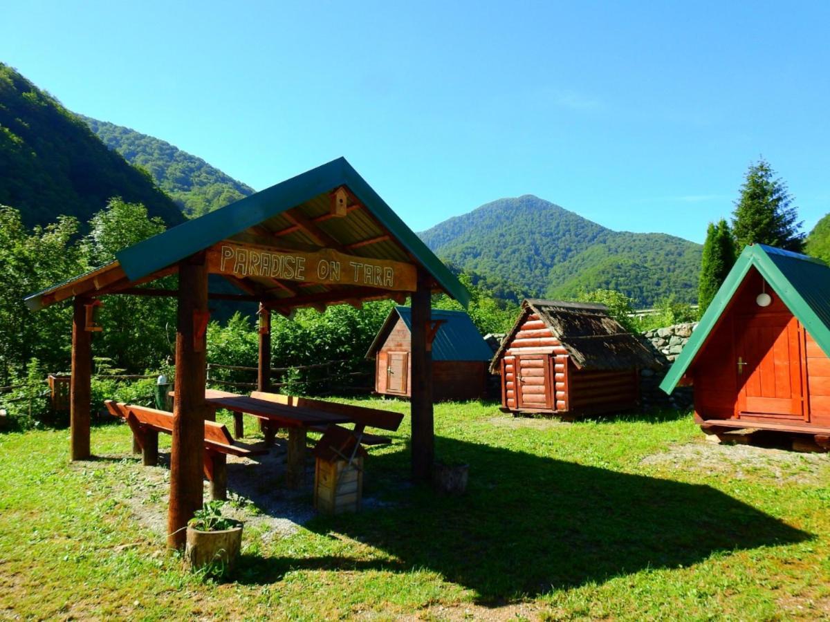 Private Accommodation Kalezic Mojkovac Bagian luar foto