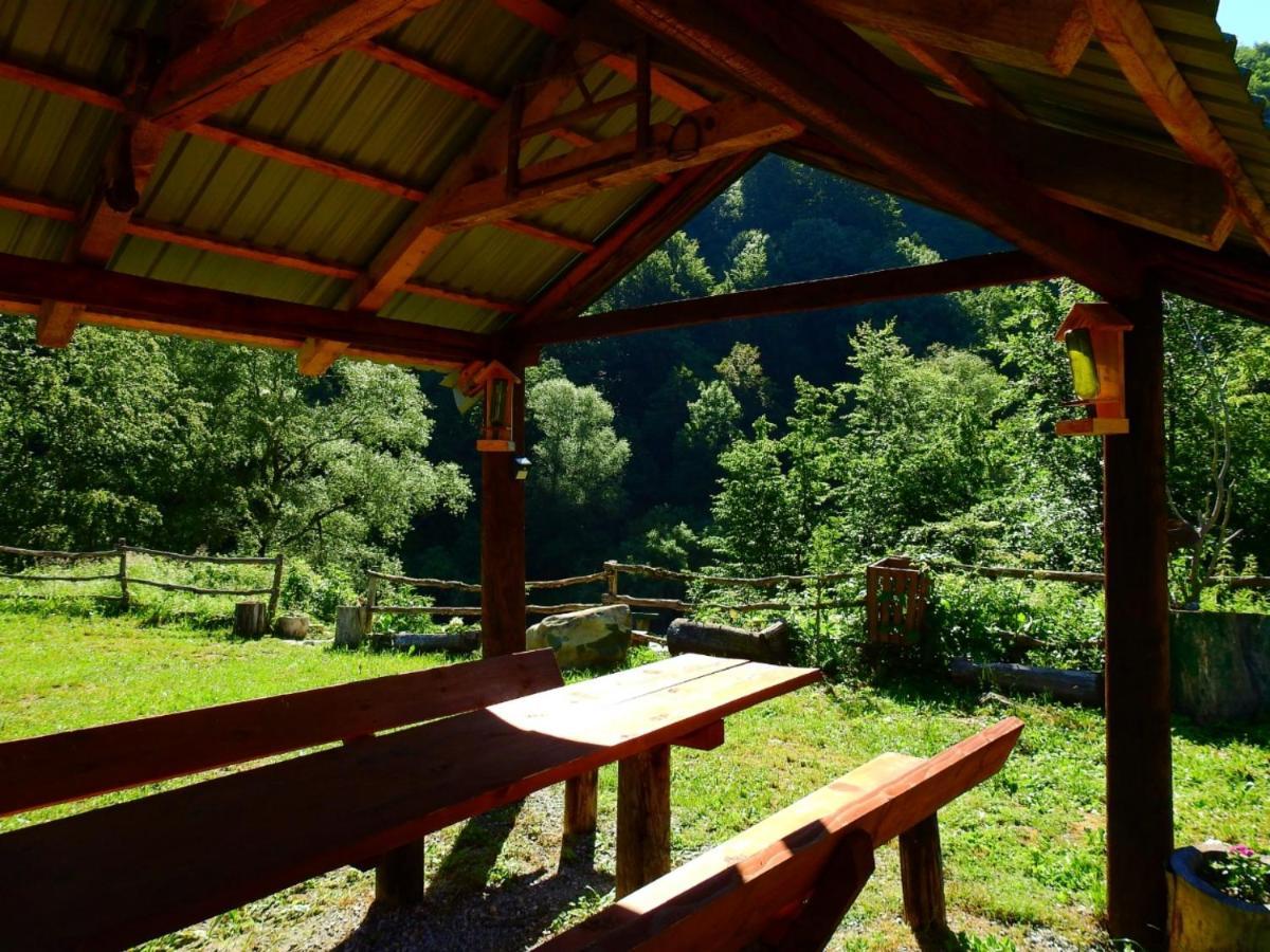 Private Accommodation Kalezic Mojkovac Bagian luar foto