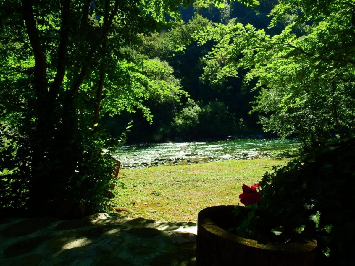 Private Accommodation Kalezic Mojkovac Bagian luar foto