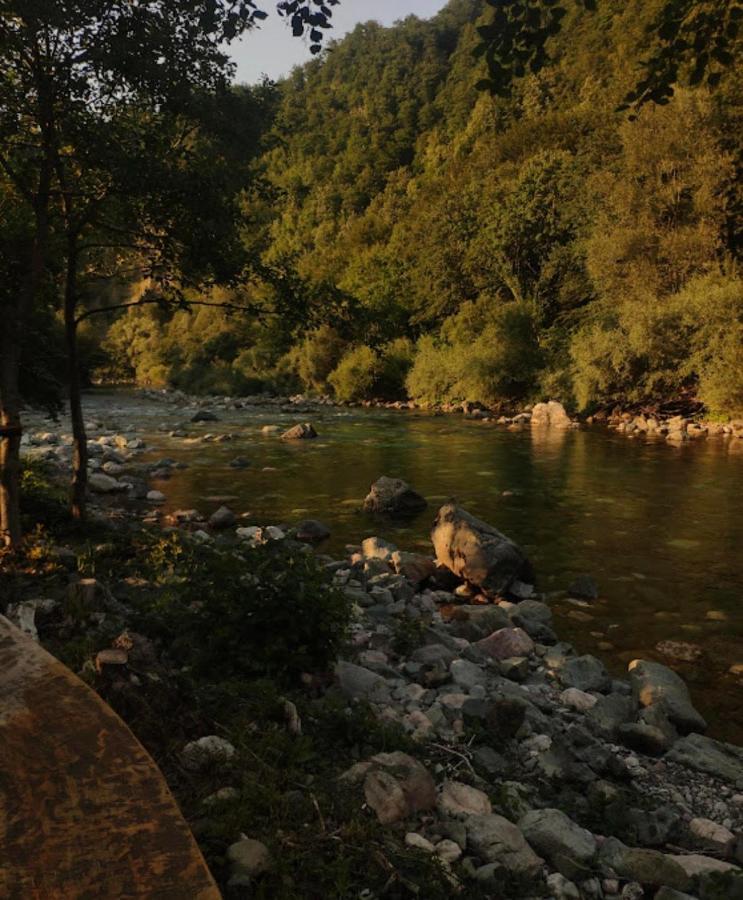 Private Accommodation Kalezic Mojkovac Bagian luar foto