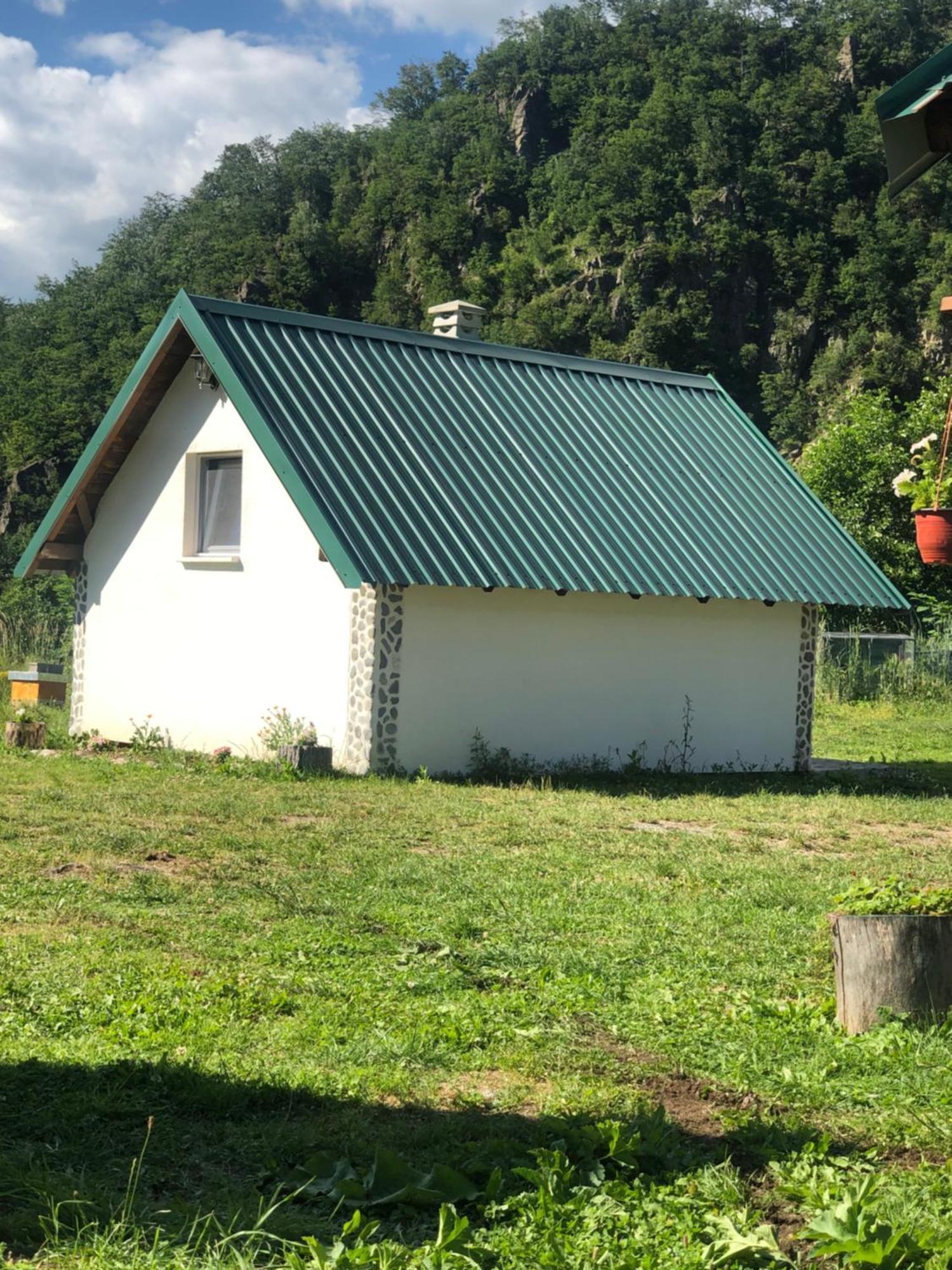 Private Accommodation Kalezic Mojkovac Bagian luar foto