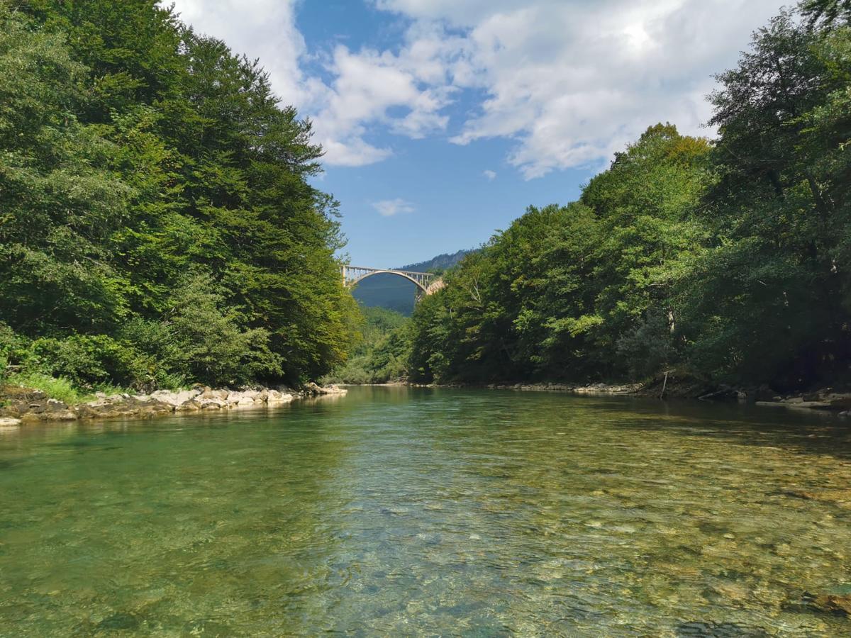 Private Accommodation Kalezic Mojkovac Bagian luar foto
